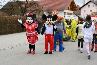 Foto des Albums: Rosenmontag 2019 - Fotos Werner Schachtner