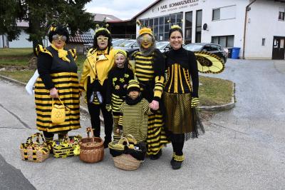Foto des Albums: Rosenmontag 2019 - Fotos Werner Schachtner