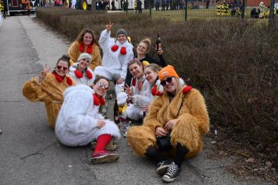 Foto des Albums: Rosenmontag 2019 - Fotos Werner Schachtner