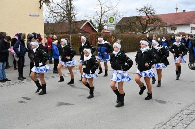 Foto des Albums: Rosenmontag 2019 - Fotos Werner Schachtner