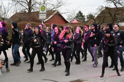 Foto des Albums: Rosenmontag 2019 - Fotos Werner Schachtner