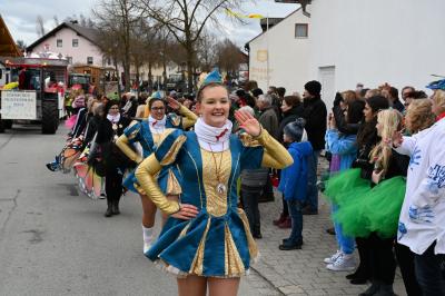 Foto des Albums: Rosenmontag 2019 - Fotos Werner Schachtner