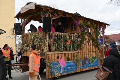 Foto des Albums: Rosenmontag 2019 - Fotos Werner Schachtner