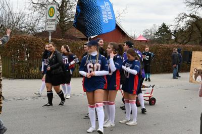 Foto des Albums: Rosenmontag 2019 - Fotos Werner Schachtner
