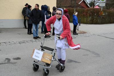 Foto des Albums: Rosenmontag 2019 - Fotos Werner Schachtner
