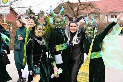 Foto des Albums: Rosenmontag 2019 - Fotos Werner Schachtner