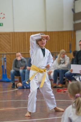 Heian Shodan Jonas 