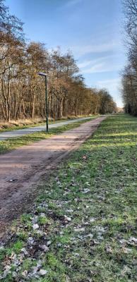 Foto des Albums: Kohl- und Boßeltour auf Langeoog