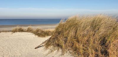 Foto des Albums: Kohl- und Boßeltour auf Langeoog