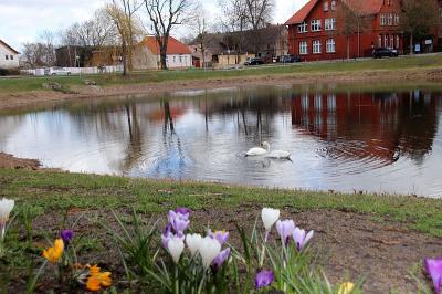 Foto des Albums: Falkenhagener Anger