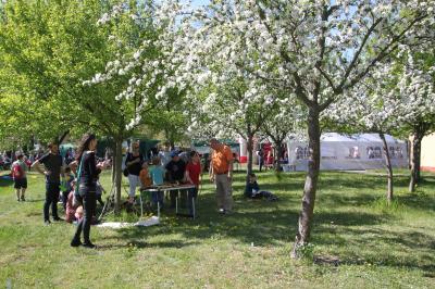 Foto des Albums: Tourismusverein Zauche-Fläming e.V 2019