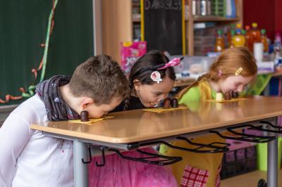 Foto des Albums: Fasching 2019