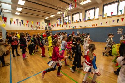Foto des Albums: Fasching 2019