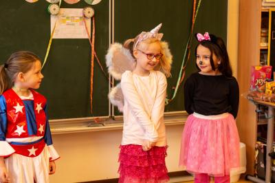 Foto des Albums: Fasching 2019