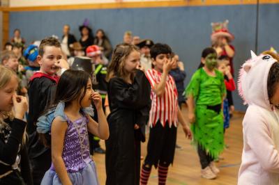 Foto des Albums: Fasching 2019