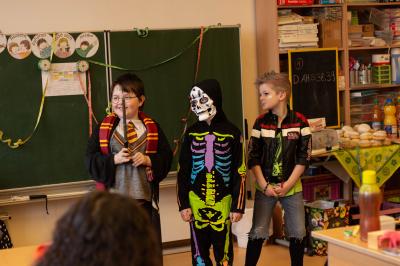 Foto des Albums: Fasching 2019