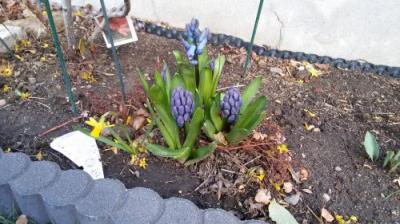 Foto des Albums: Willkommen zum Osterspaziergang durch Mühlberg!