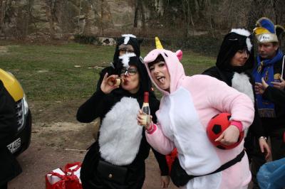 Foto des Albums: Rosenmontagsumzug in Halle an der Saale 2019