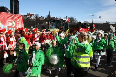 Foto des Albums: Rosenmontagsumzug in Halle an der Saale 2019