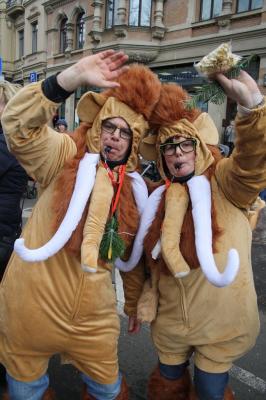 Foto des Albums: Rosenmontagsumzug in Halle an der Saale 2019