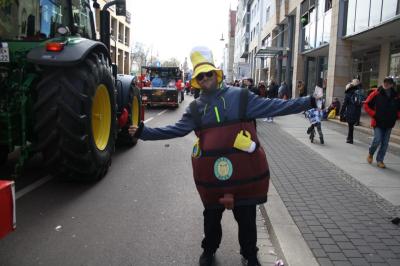 Foto des Albums: Rosenmontagsumzug in Halle an der Saale 2019