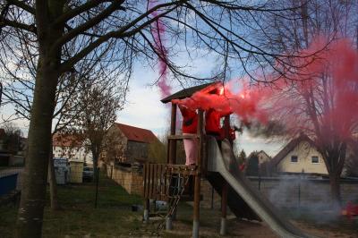 Foto des Albums: Rosenmontagsumzug in Halle an der Saale 2019