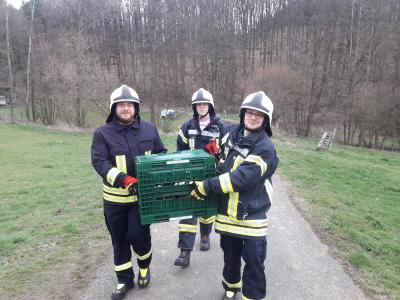 Foto des Albums: Tierrettung - Talstraße