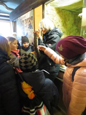 Foto des Albums: Zoobesuch Klasse 3c