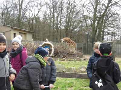 Foto des Albums: Zoobesuch Klasse 3c