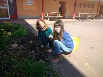 Foto des Albums: Arbeitseinsatz Schulschiff