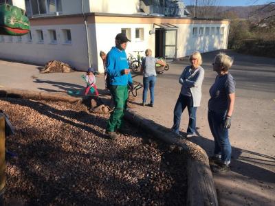 Foto des Albums: Arbeitseinsatz Schulschiff