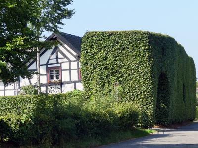 11-P1020413  (Bild vergr&ouml;&szlig;ern)