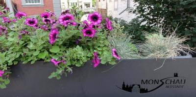 15-DSC08425  (Bild vergr&ouml;&szlig;ern)