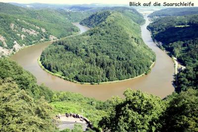 1008-P1110610  (Bild vergr&ouml;&szlig;ern)