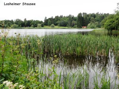 1021-DSC07293  (Bild vergr&ouml;&szlig;ern)