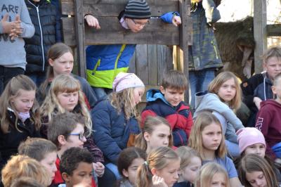 Foto des Albums: Klassenfahrt Fürstenberg 4. Klassen