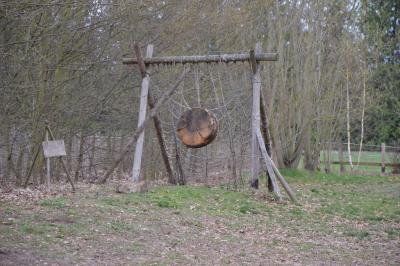 Foto des Albums: Klassenfahrt Fürstenberg 4. Klassen