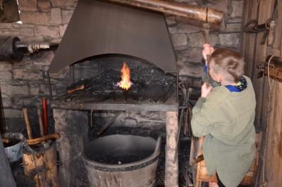 Foto des Albums: Klassenfahrt Fürstenberg 4. Klassen
