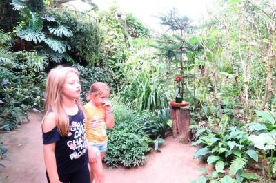 Foto des Albums: Abschlussrüste von Hort und Konfi-Gruppe 2018