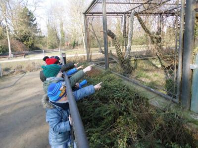 Foto des Albums: Besuch des Tierparks (13. 03. 2019)