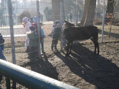 Foto des Albums: Besuch des Tierparks (13. 03. 2019)