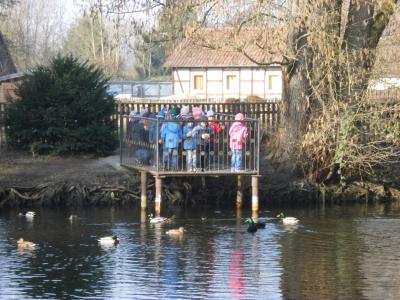 Foto des Albums: Besuch des Tierparks (13. 03. 2019)