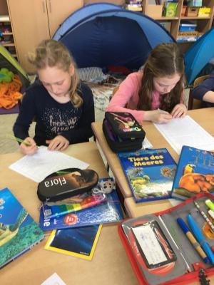 Foto des Albums: Lesewoche Klasse 4