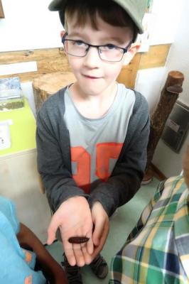 Foto des Albums: Abschlussrüste der Vorschulkinder 2018