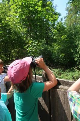 Foto des Albums: Abschlussrüste der Vorschulkinder 2018