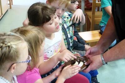 Foto des Albums: Abschlussrüste der Vorschulkinder 2018