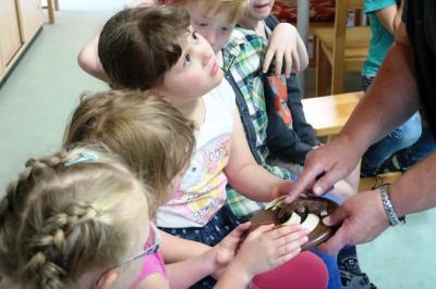 Foto des Albums: Abschlussrüste der Vorschulkinder 2018