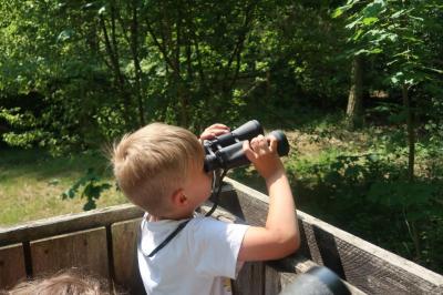 Foto des Albums: Abschlussrüste der Vorschulkinder 2018