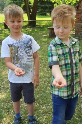 Foto des Albums: Abschlussrüste der Vorschulkinder 2018