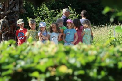 Foto des Albums: Abschlussrüste der Vorschulkinder 2018